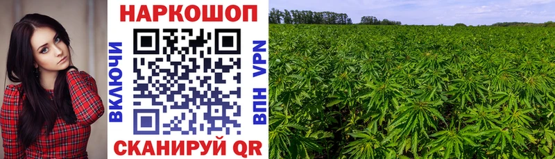 Продажа наркотиков Михайлов Кокаин  A-PVP  Псилоцибиновые грибы  Меф мяу мяу 