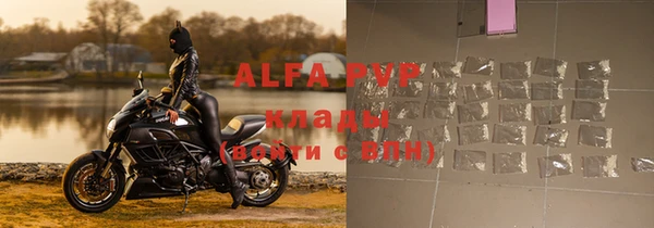 индика Баксан