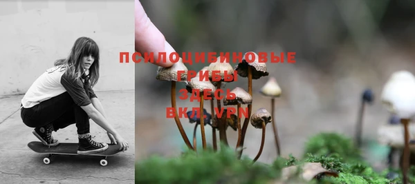 молекула духа Михайловск